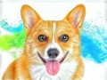 DOGS - Corgi Happiness by Alan Foxx - PoP x HoyPoloi Gallery