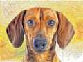 DOGS - Dachshund Affection by Alan Foxx - PoP x HoyPoloi Gallery