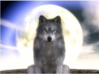 WOLF-Wolf in the Moonlight by Alan Foxx - PoP x HoyPoloi Gallery