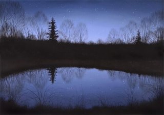 Starry Pond
