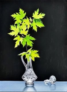 Young Maple Still Life