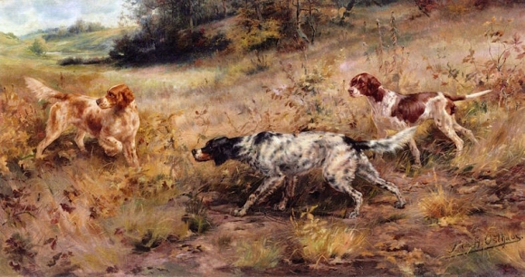 Hunting Dogs