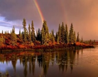 Double Rainbow, Kettle Pond, Denali
