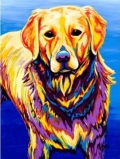 GOLDIE-Golden Retriever by Michelle Mardis - PoP x HoyPoloi Gallery