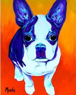 THE BOS-Boston Terrier by Michelle Mardis - PoP x HoyPoloi Gallery
