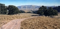 On The Trail, Pleasanton Ridge